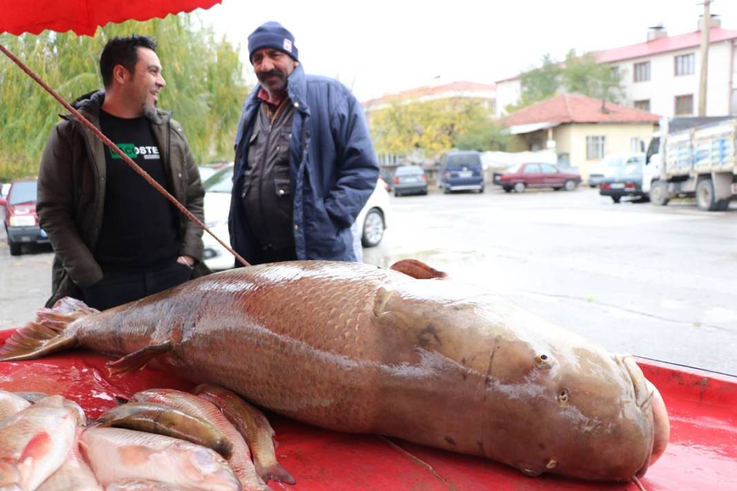 Turnayı gözünden vurdu: 110 kg ağırlığında, kilosunu 250 TL'den satıyor! 40 yıllık meslek hayatında ilki yaşadı 2